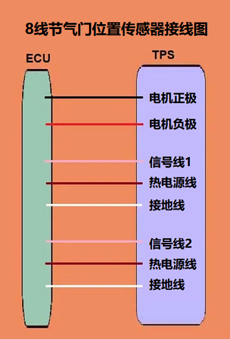 一個8線節(jié)氣門位置傳感器接線圖包含電機(jī)和電位器